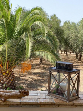 Lakkes Olive Grove